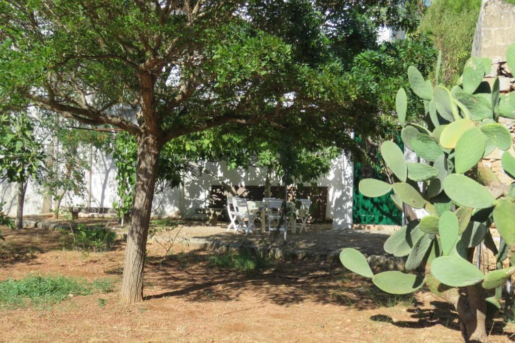 Vila Casa Colonica Gallipoli Exteriér fotografie