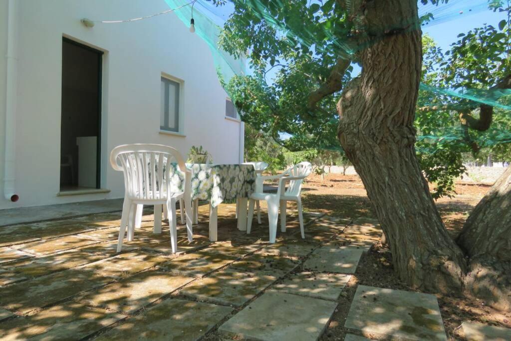 Vila Casa Colonica Gallipoli Exteriér fotografie