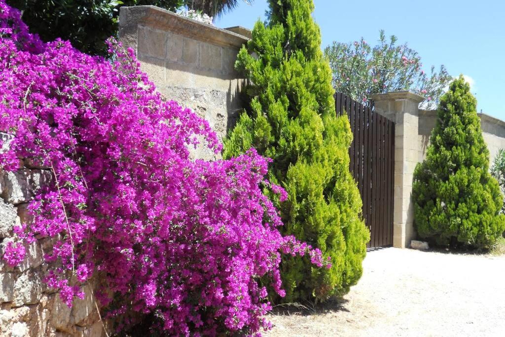 Vila Casa Colonica Gallipoli Exteriér fotografie